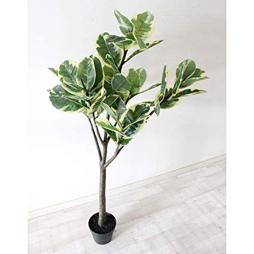 人工観葉植物 ゴムの木 ラバーツリー 125cm フェイクグリーン 光触媒加工(11305円)