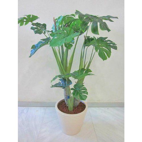 光触媒 観葉植物 造花 モンステラ アートフラワー(10656円)