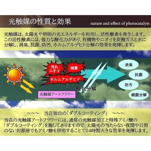 光触媒 観葉植物 造花 モンステラ アートフラワー 観葉植物 造花 モンステラ アートフラワー サイズ