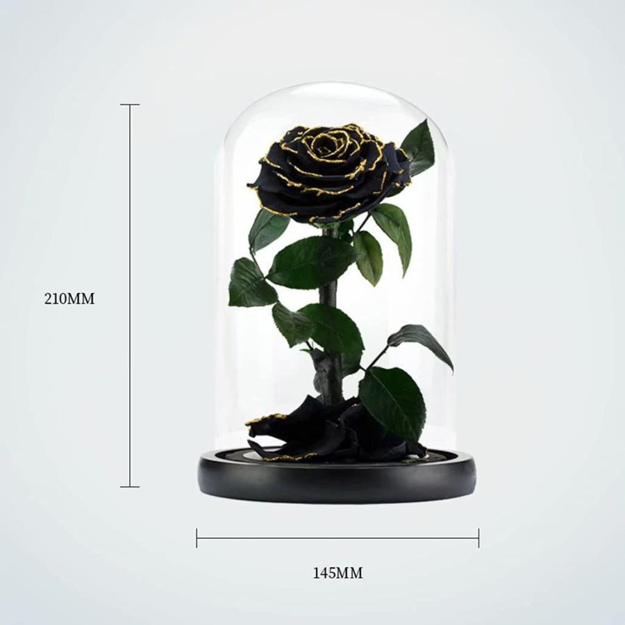プリザーブドフラワー プレゼント ブラックローズ ガラスドーム 花 薔薇 一輪 バラ 高級 人気 ラッピング済み 彼女 女性 友達 妻 誕生 Diofioredrago 通販 Yahoo ショッピング