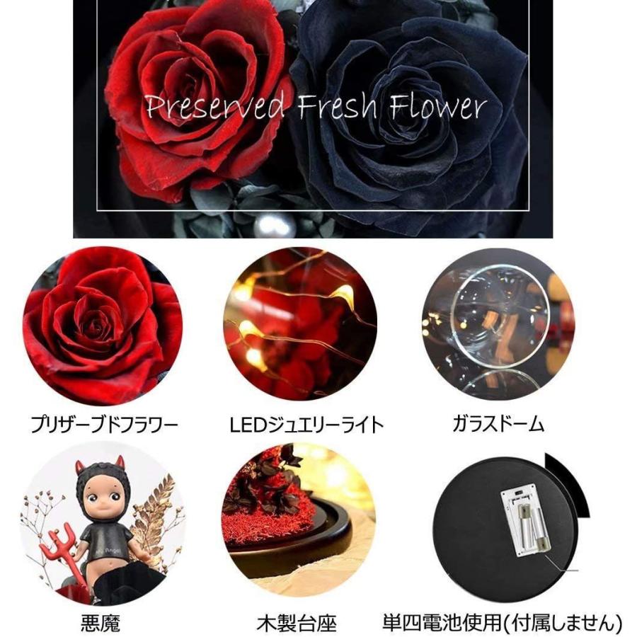 在庫あり プリザーブドフラワー 可愛い きれい おしゃれ バラ ローズ 薔薇 花 ブリザードフラワー ロマンティック 2モデル ガラスドーム Ledラ Sena Crew 通販 Yahoo ショッピング 22 新作 Acelerando Com Ec