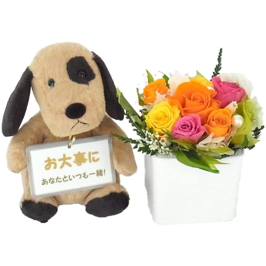 入院お見舞い よりそい隊シリーズいぬ ワン太 お留守番カードブーケl付 プリザーブドフラワー Diofioredrago 花束 アレンジメント
