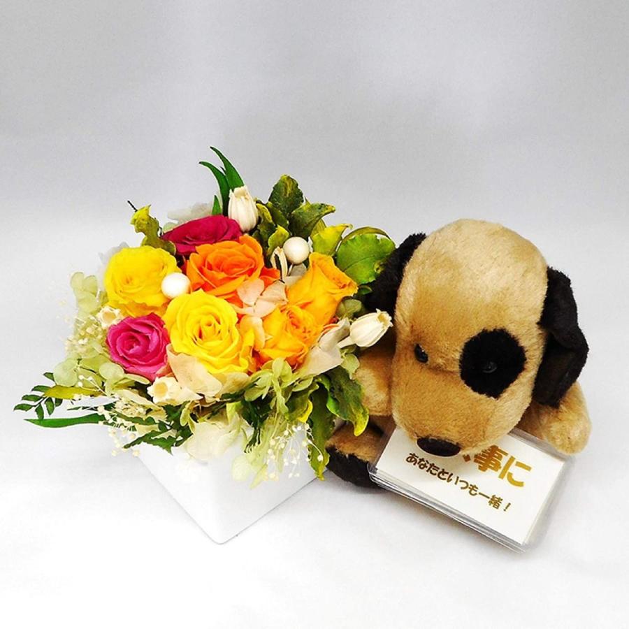 入院お見舞い よりそい隊シリーズいぬ ワン太 お留守番カードブーケl付 プリザーブドフラワー Diofioredrago 花束 アレンジメント