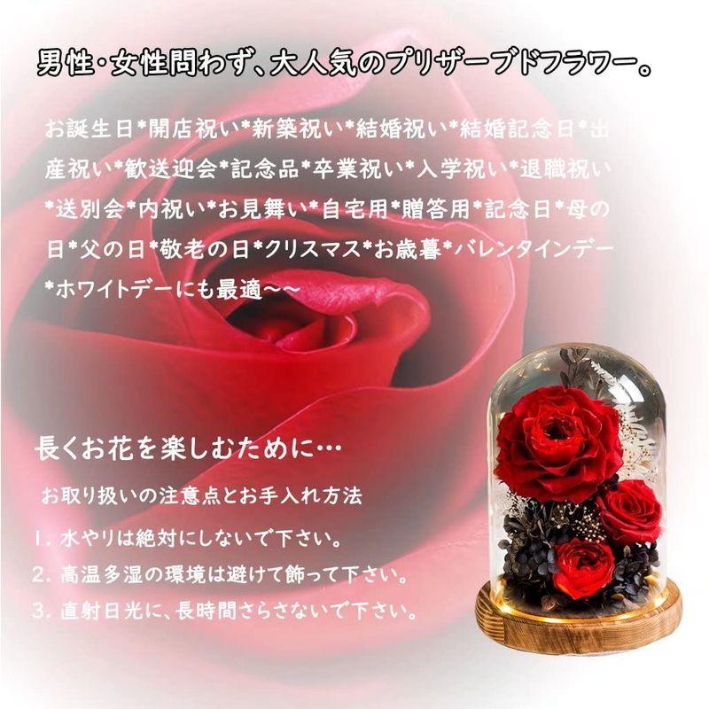 ベビーグッズも大集合 ドライフラワー 薔薇 プリザーブドフラワー 誕生日プレゼント メッ 手提げ袋 ギフトボックス フラワーギフト 枯れない花 バラ ガラスドーム その他インテリア雑貨 小物 Binghamtonhots Com