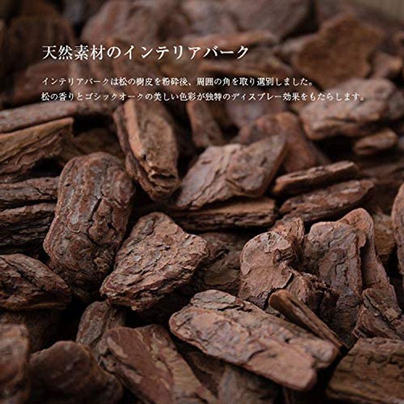 人工観葉植物 フェイクグリーン 観葉植物 造花 光触媒 大型 アレカヤシ 170cm アレカパーム 白鉢（陶器製） インテリア フェイク グ フェイクグリーン 観葉植物 造花 光触媒 大型 アレカヤシ 170cm アレカパーム 白鉢 陶器製 インテリア フェイク