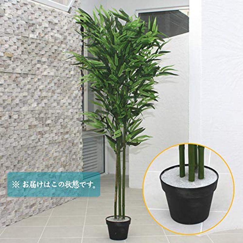 超特価セール 人工観葉植物 光触媒 バンブー 竹 150cm クリアランス価格 Ssl Daikyogo Or Jp