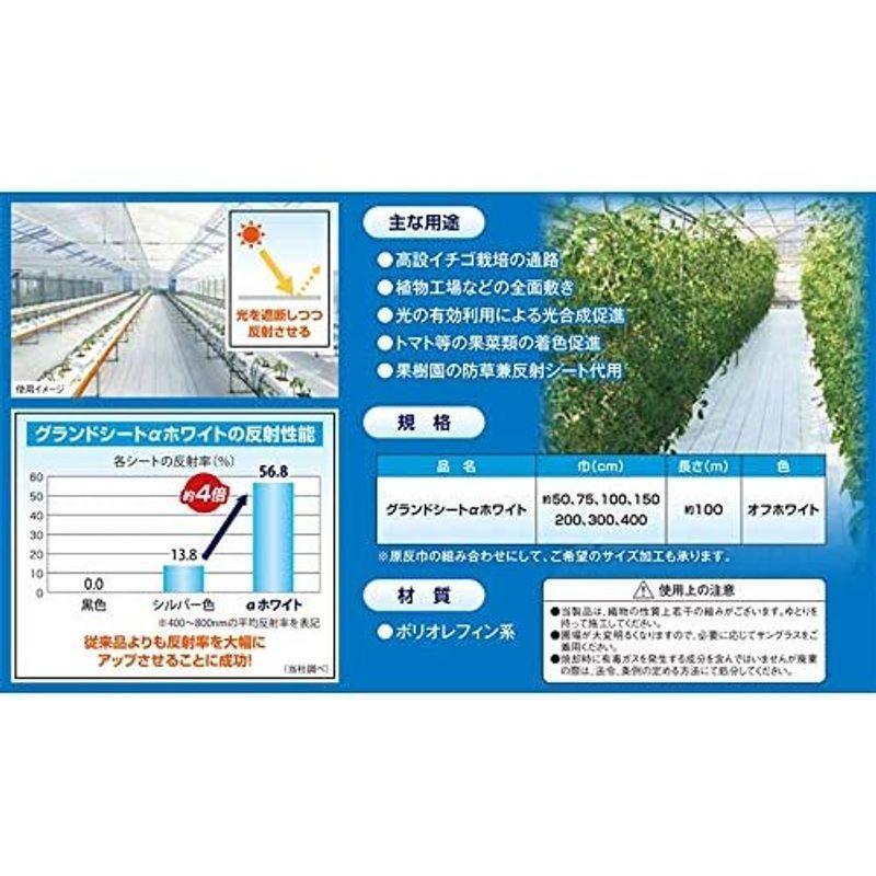 ダイオ グランドシート α アルファ ホワイト 白 100cm×100m 防草シート 反射シート ダイオ化成 イノベックス タ種 代不 グランドシート アルファ ホワイト 100cm×100m 防草シート 反射シート ダイオ化成 イノベックス タ種 代不
