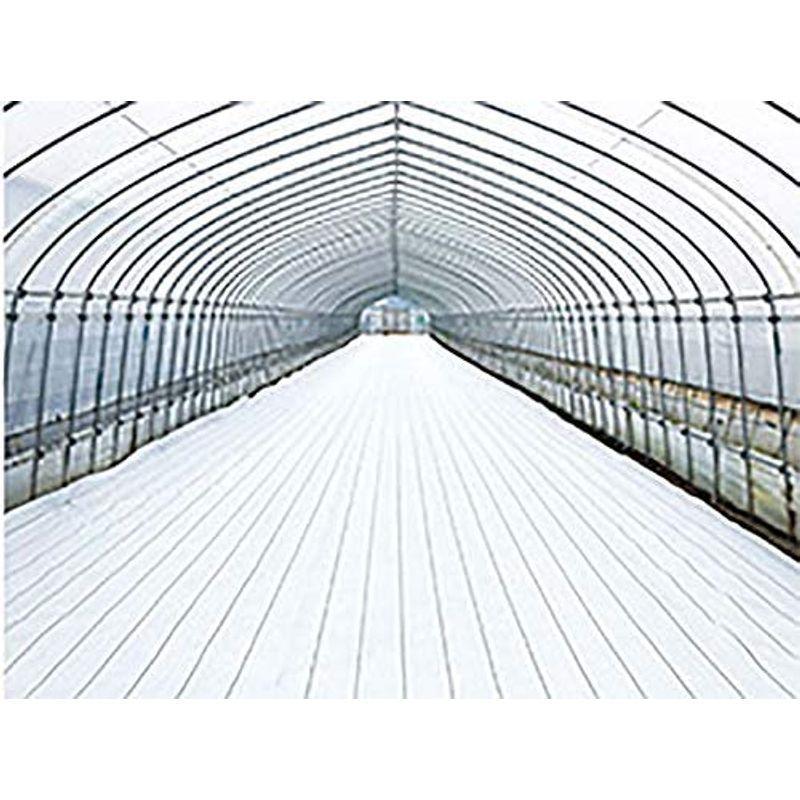 ダイオ グランドシート α アルファ ホワイト 白 100cm×100m 防草シート 反射シート ダイオ化成 イノベックス タ種 代不 グランドシート アルファ ホワイト 100cm×100m 防草シート 反射シート ダイオ化成 イノベックス タ種 代不