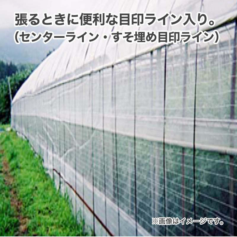 ダイオ 公式 農園芸用 菜園用防虫ネット75 透光率 90％ 目合い 0.75
