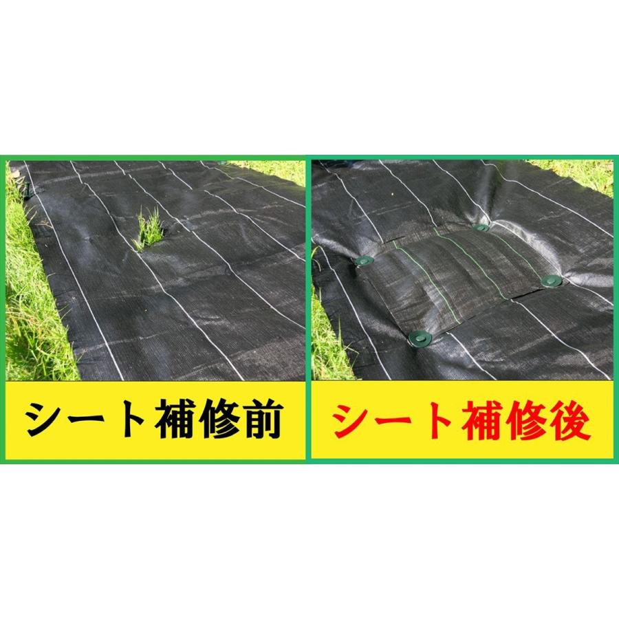 ダイオ 公式 防草シート補修セット 【ダイオブランド】 : イノベックス