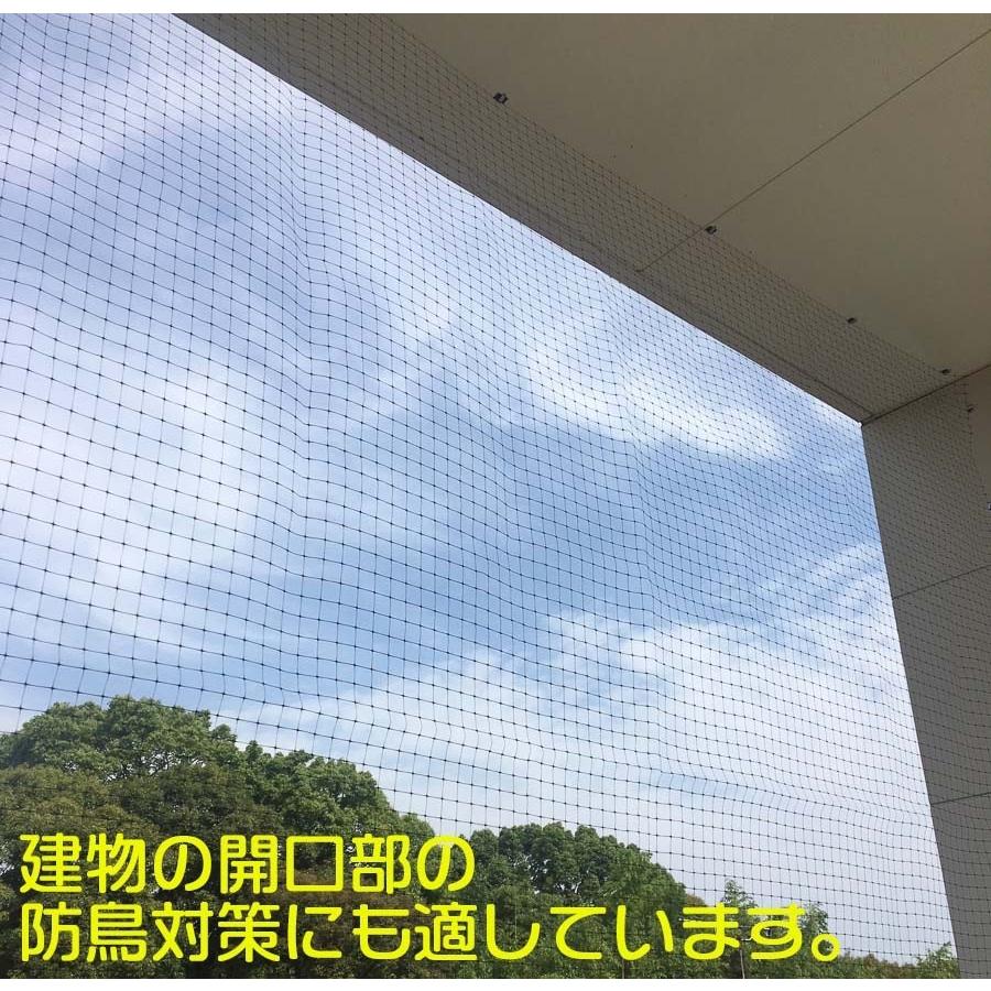 ダイオ 公式 鳥よけ 防鳥 黒 12mm目 1mx100m 長巻 軽々バードネット