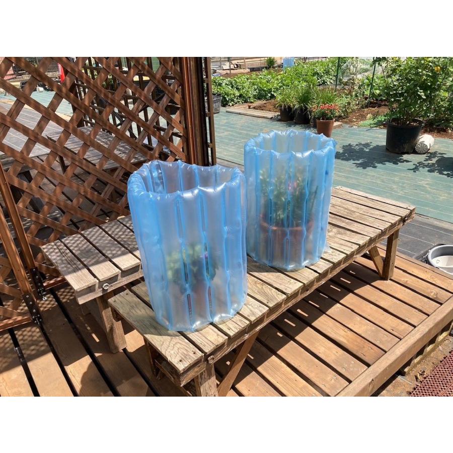 ダイオ 公式 風よけ 育成促進 保温 防寒 3シーズン活躍 空気の壁の苗