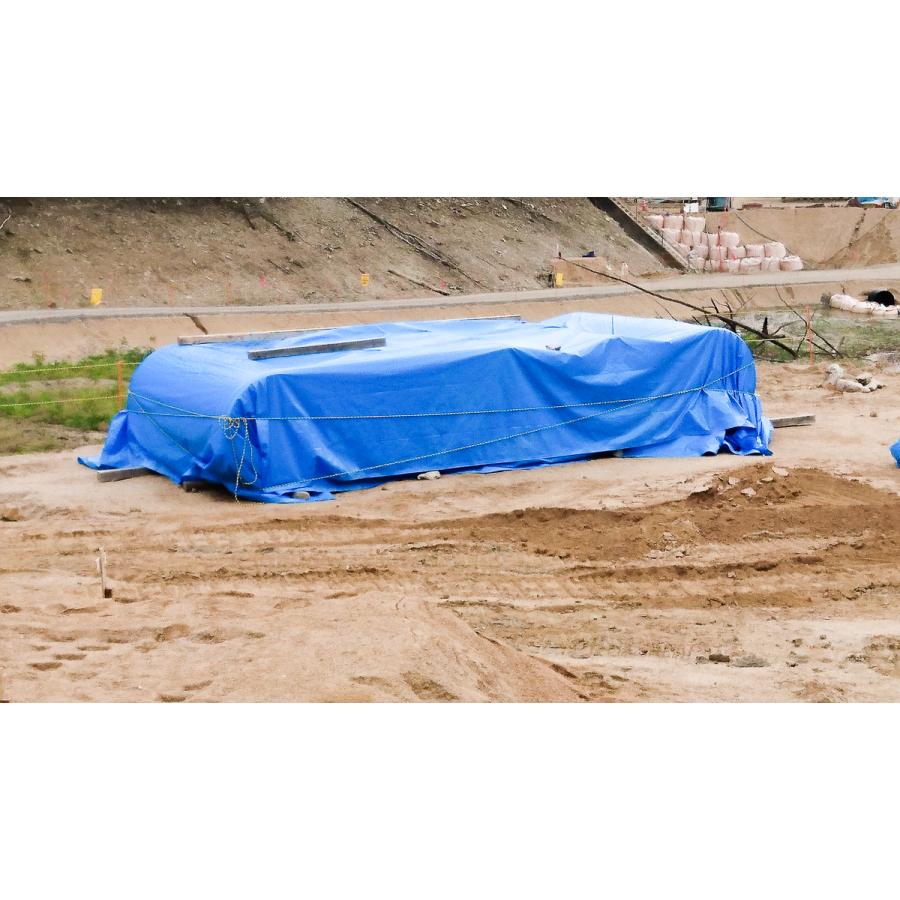 【ポスター付き】ブルーシード「謡」 BLUE SEED ブルーシード 販促ポスター 高田裕三 - メルカリ