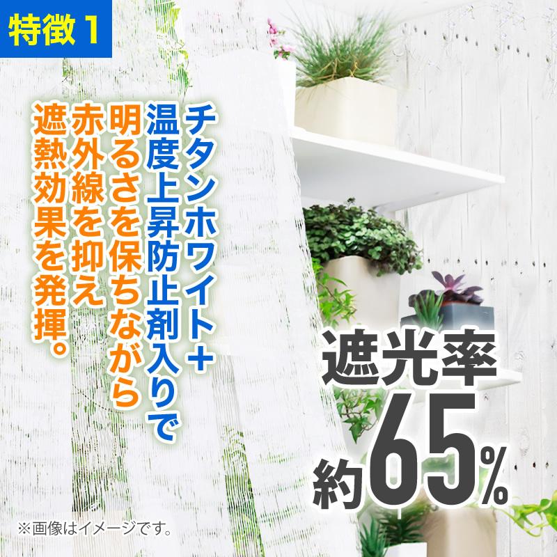 ダイオ 公式 遮光ネット クールホワイト1020SW 65％ サイズ 幅2m×長