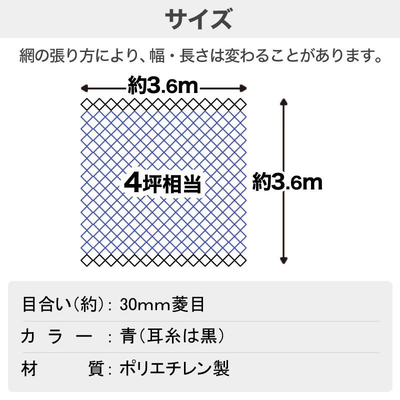 ダイオ 強力防鳥網 ブルー 30mm目 4坪 3.6mx3.6m 1000D 農園芸用 糸が