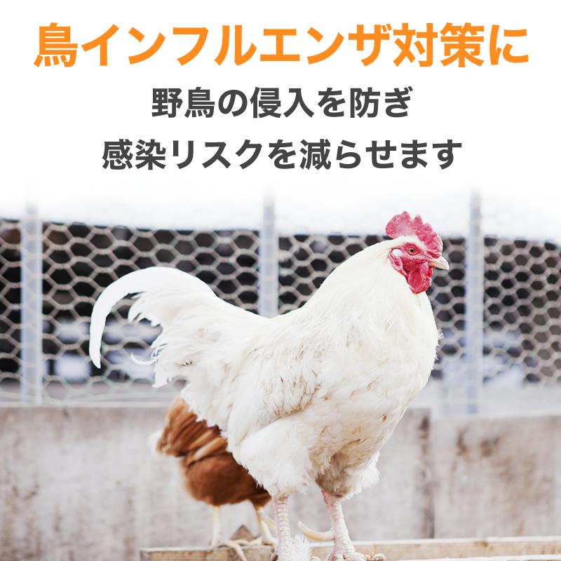 ダイオ 公式 防鳥網 オレンジ 30mm目 150坪 18mx27m 400D 農園芸用