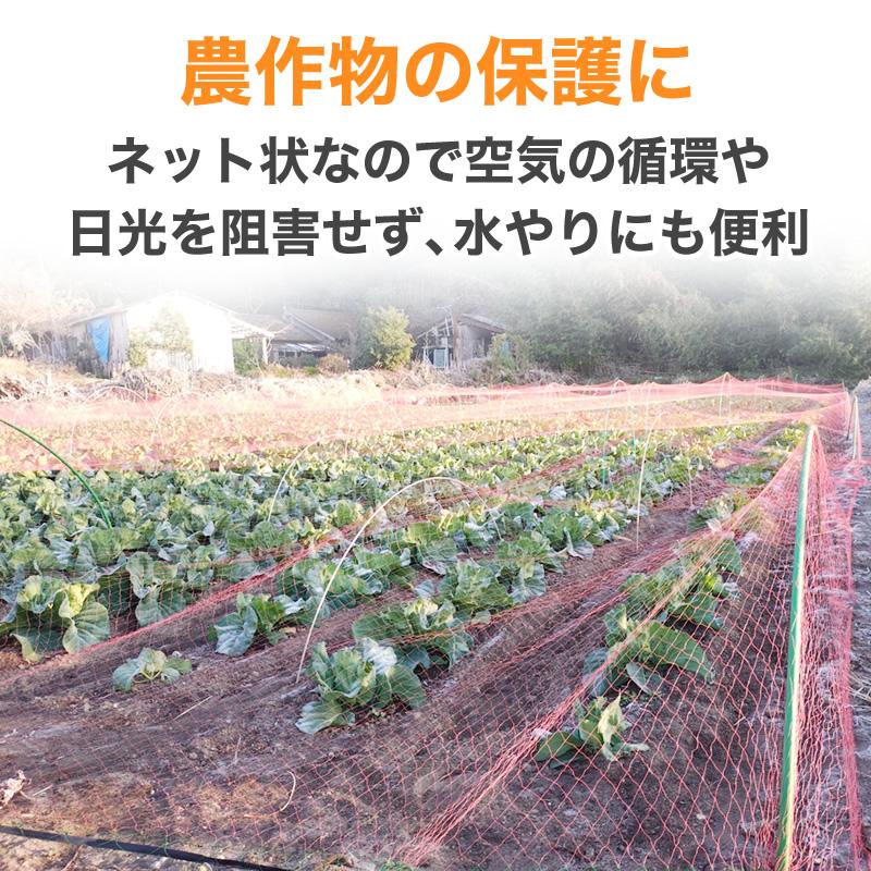 ダイオ 強力防鳥網 ブルー 30mm目 150坪 18mx27m 1000D 農園芸用 糸が