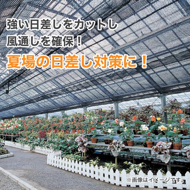 ダイオ 公式 ラッセル遮光網90K 90％ サイズ 幅2m×長さ50m 黒