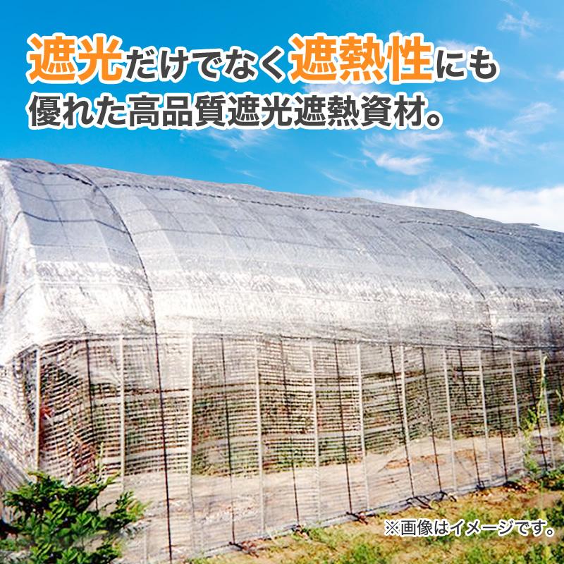 ダイオ 公式 遮光 遮熱ネット 遮光ネット810SG 50％ サイズ 幅2m×長