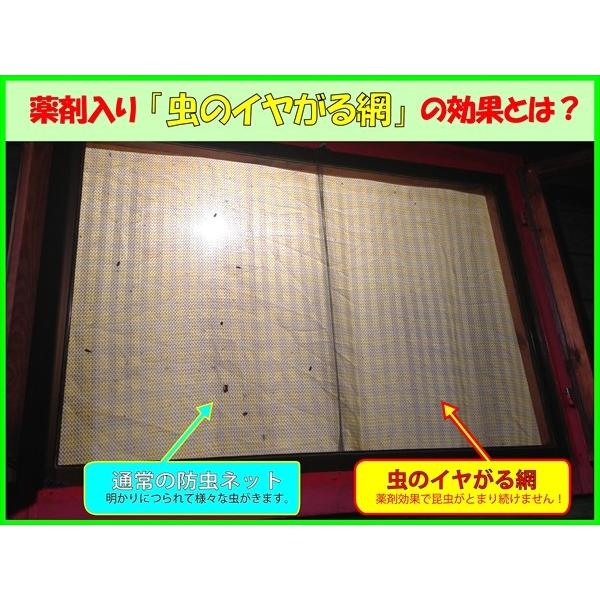 ダイオ 公式 網戸 網戸張り替え 防虫ネット 虫のイヤがる網 幅140cm×長