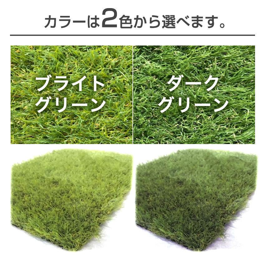 ダイオ 公式 3枚セット 人工芝 スパックターフMD-NY 東レ・アム
