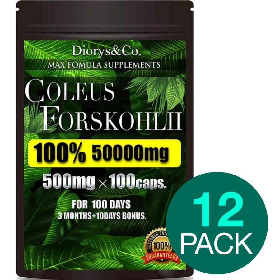 最安値挑戦 12袋セット卸売特価 コレウスフォルスコリ 100 1粒500mg 100カプセル 100日分 3ヶ月 10日 1袋フォルスコリmg フォースコリー ダイエット サプリ Wantannas Go Id