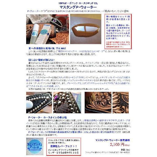 マスタング Pウォーター マスタングペースト MUSTANG PASTE |  | 01