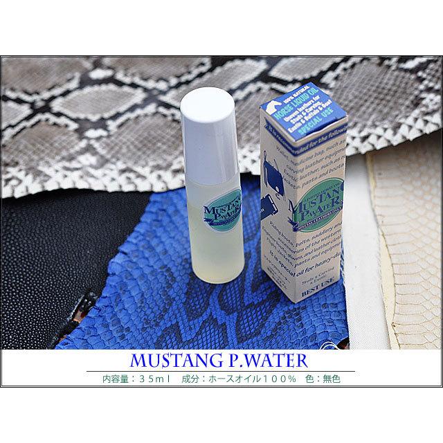 マスタング Pウォーター マスタングペースト MUSTANG PASTE |  | 04