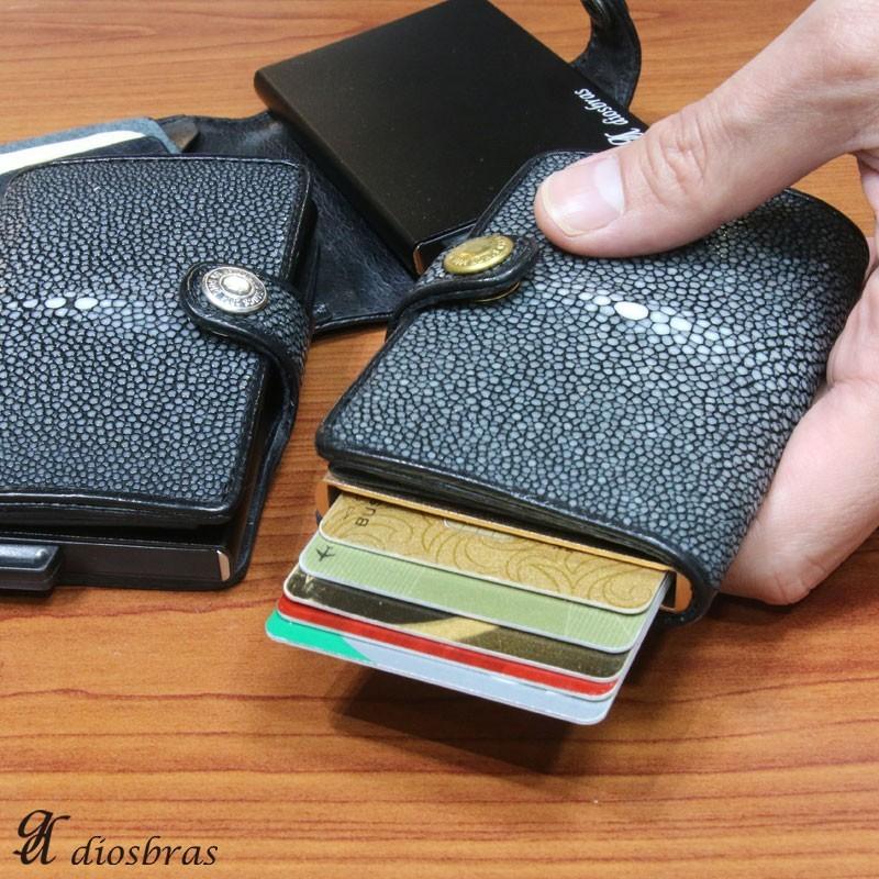 カードケース スライド スティングレイ スティングレー ガルーシャ