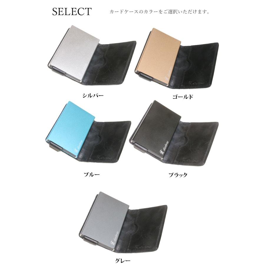 カードケース スライド スティングレイ スティングレー ガルーシャ