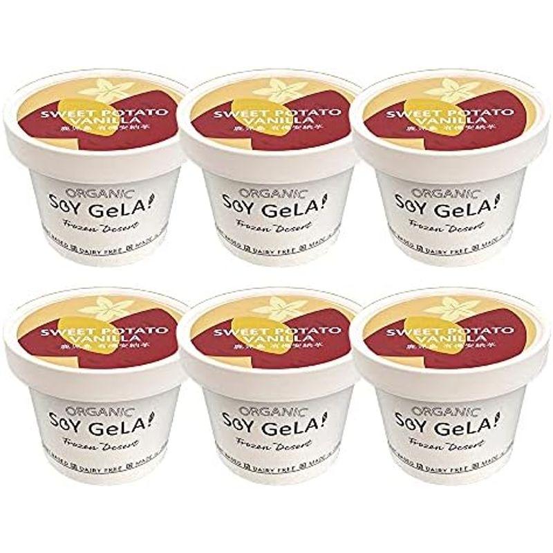 SOY GeLA ソイジェラ オーガニック 豆乳 アイスクリーム 100m 6個セット ココバニラ｜diostore｜02