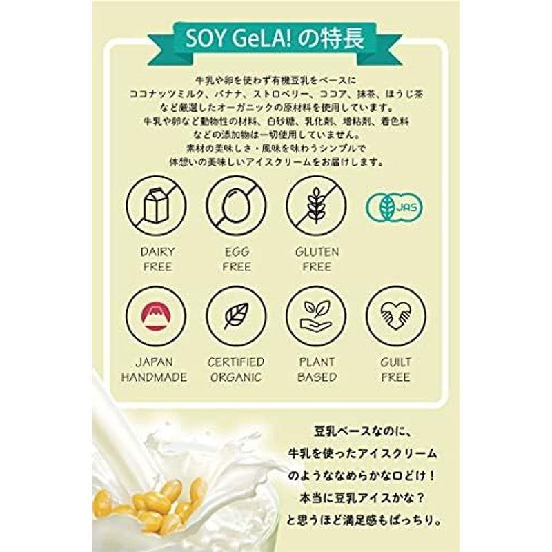 SOY GeLA ソイジェラ オーガニック 豆乳 アイスクリーム 100m 6個セット ココバニラ｜diostore｜08