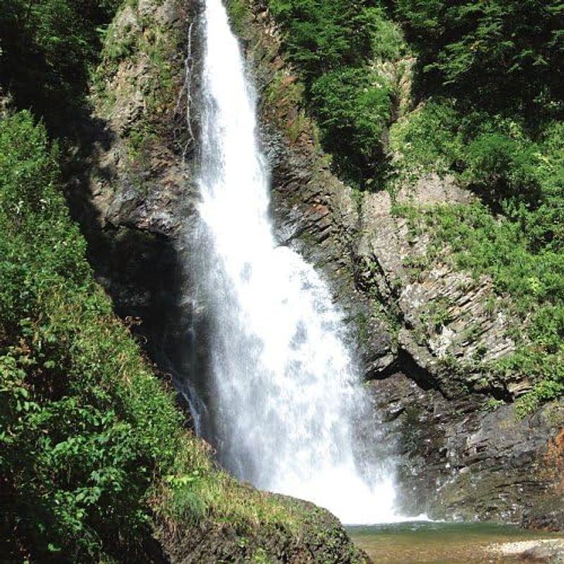 超軟水×非加熱縄文時代から育む”自然のしずく”世界自然遺産『白神山地の水（黒ラベル）』/２Ｌ×６本｜diostore｜02