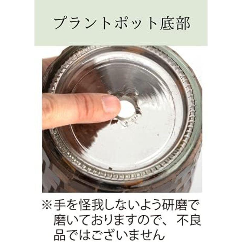 キシマ(Kishima) モザイク プラントポット 植木鉢 おしゃれ 3.5号サイズ KH-61237 ブラウン｜diostore｜07
