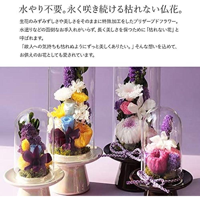 特別セール中 Makefuture 紫苑 M 2個セット プリザーブドフラワー 仏花 お悔やみ ガラスドーム お手入れ不要 ペア 1対