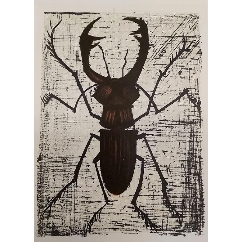 ビュッフェ 昆虫シリーズ「クワガタ」 絵画　版画 リトグラフ インテリア 額付42cm×31cm 1点のみ | 