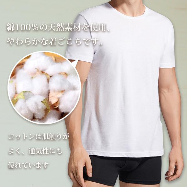 丸首コットンtシャツ 綿100 メンズ半袖 白い 白 無地 ホワイト おすすめ M L Ll 直facオリジナル商品 Dfp M 直fac 通販 Yahoo ショッピング