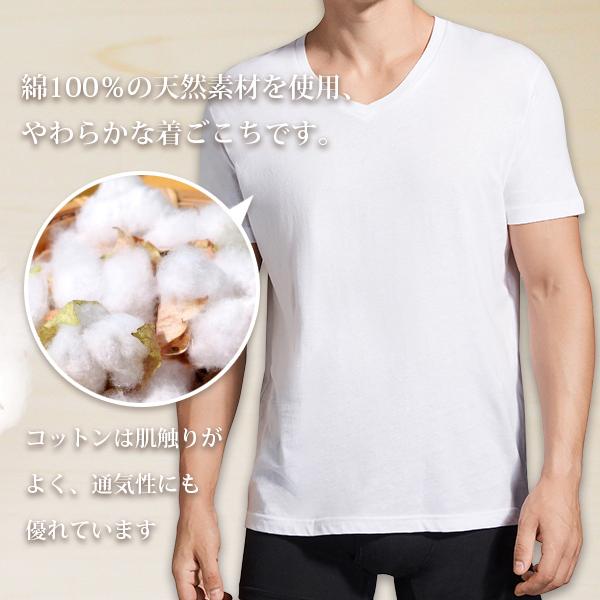 V首コットンtシャツ 綿100 メンズ半袖 白い 白 Vネック 無地 ホワイト おすすめ M L Ll 直facオリジナル商品 Dfp M 直fac 通販 Yahoo ショッピング