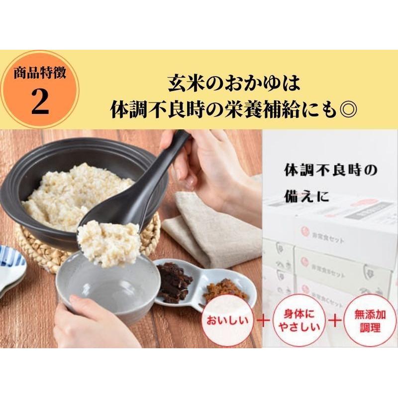 色々入ってお得なセット！備えて安心　1箱10セット入り！石井食品　非常食Bセット 非常食Bセット｜非常食｜石井食品公式 無添加調理通販サイト