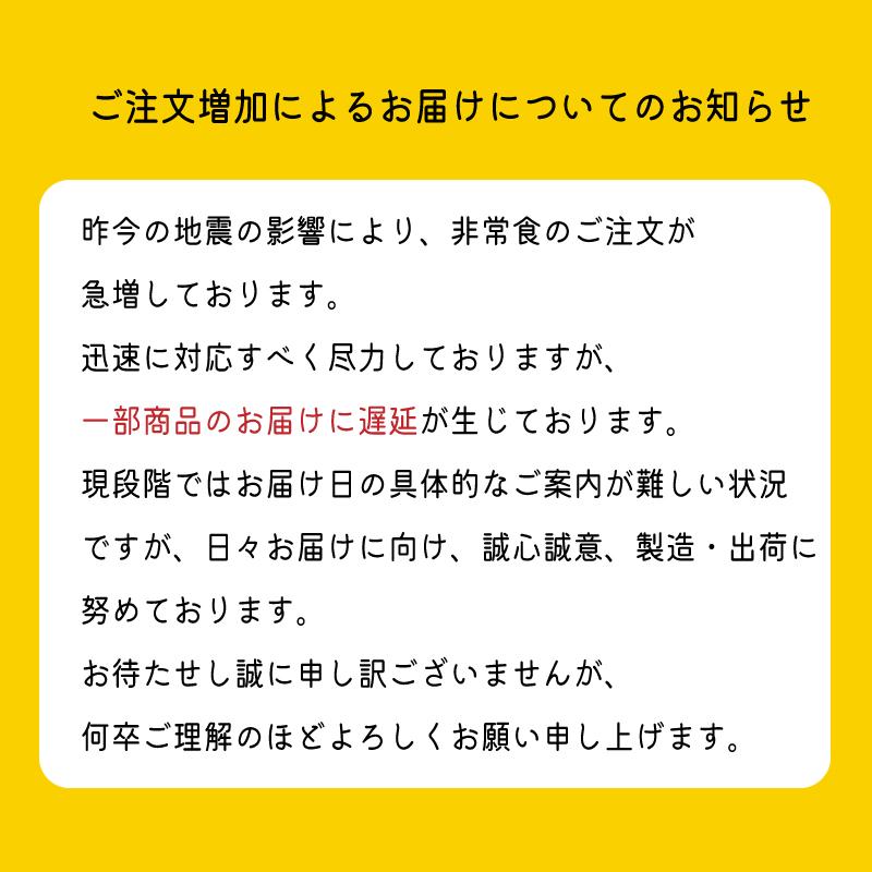 【送料無料】非常食19品【3日分（1人分）+6食】詰め合わせ（常温保存）│ 防災食 備蓄食 無添加調理 石井食品 災害食 備蓄 保存食｜directishiifood｜02