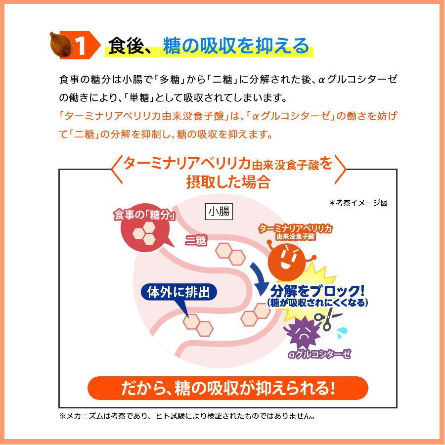 糖脂ブロック 180粒（約30日分）｜directshop-eisai｜10