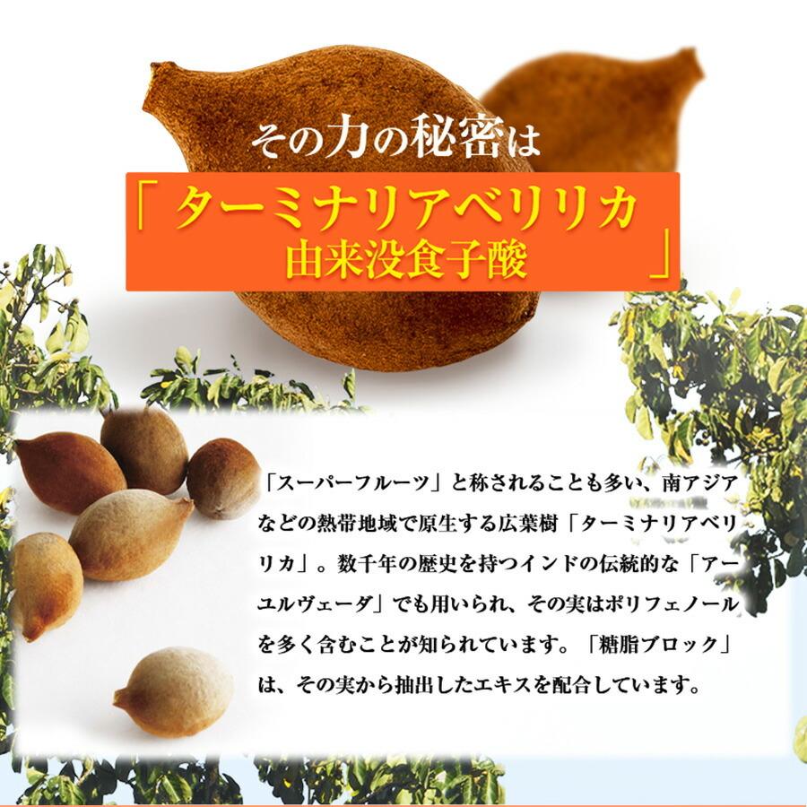 Eisai（エーザイ） 糖脂ブロック 180粒（約30日分）×6袋 : エーザイ