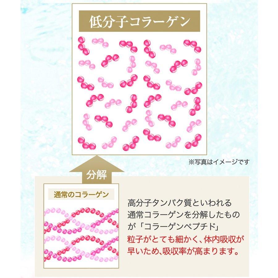 Eisai（エーザイ） 美チョコラ コラーゲン青汁 30袋入 2箱 セット 栄養