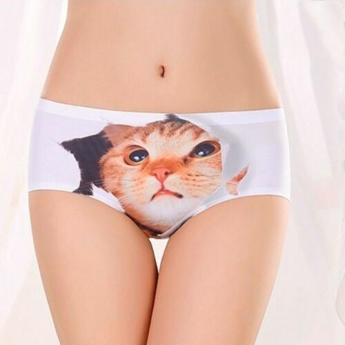 ショーツ レディース セット 猫プリント シームレス 見せパン 丈普通 レギュラーショーツ 3d猫パンツ ランジェリー ３枚セット Ngab8 ダイレクト販売サービス ヤフー店 通販 Yahoo ショッピング