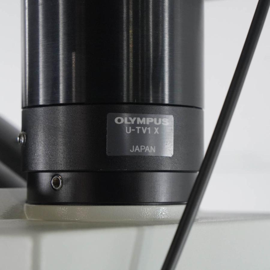 [DW]USED 8日保証 OLYMPUS MX50T-F Microscope 顕微鏡 WH15×/14 5×/0.15 10×/0.30 20×/0.45 50×/0.80 50×A/0.40 ACア...[05668-0001]｜dirwings｜09