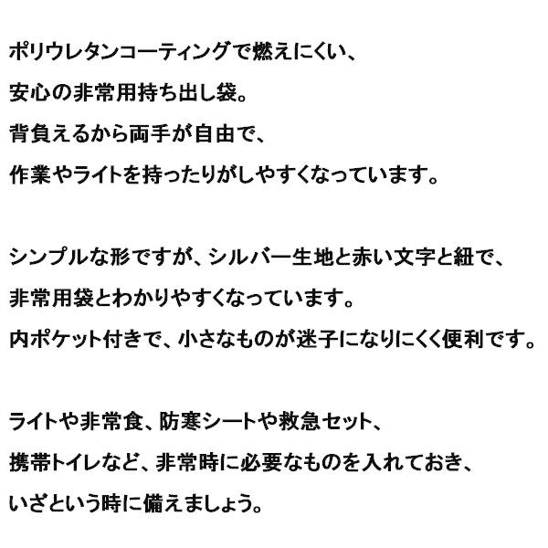 非常用持ち出し袋 災害 リュック 非常用持出袋 非常事隊 HJT-01 非常用避難袋 災非常時 火事 地震 台風 自然災害 リュックサック 難燃 燃えにくい のみ｜discount-spirits2｜04