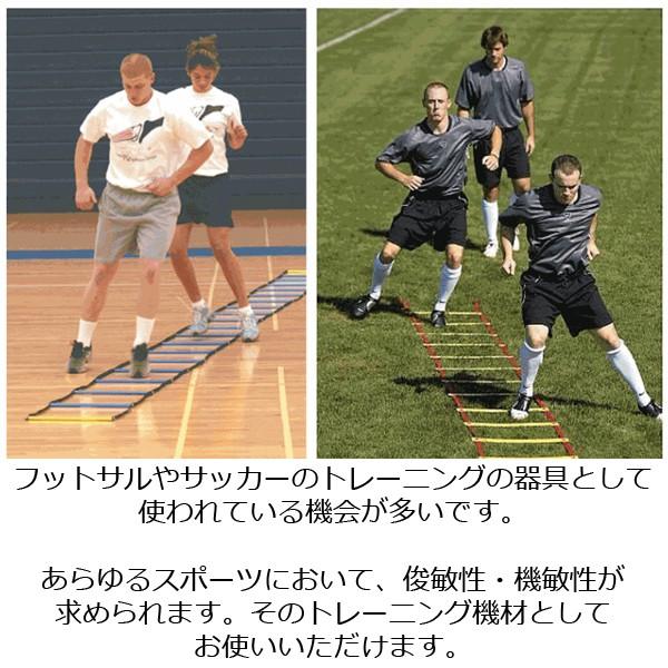 ラダー 7m トレーニングラダー トレーニング プレート13枚
