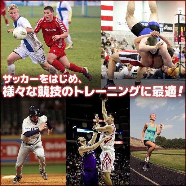 トレーニングラダー 7m ラダー トレーニング プレート13枚