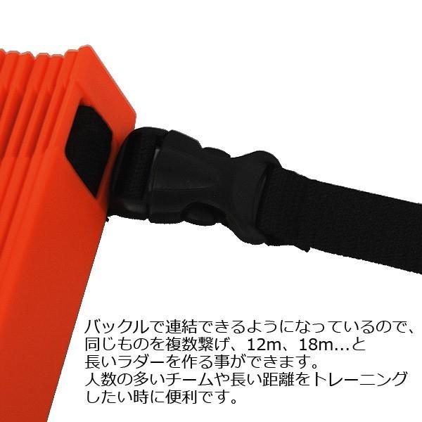 ラダートレー　21日終了 ラダートレー 21日終了 c0c3196f29e69b242bbc152e1efcc8