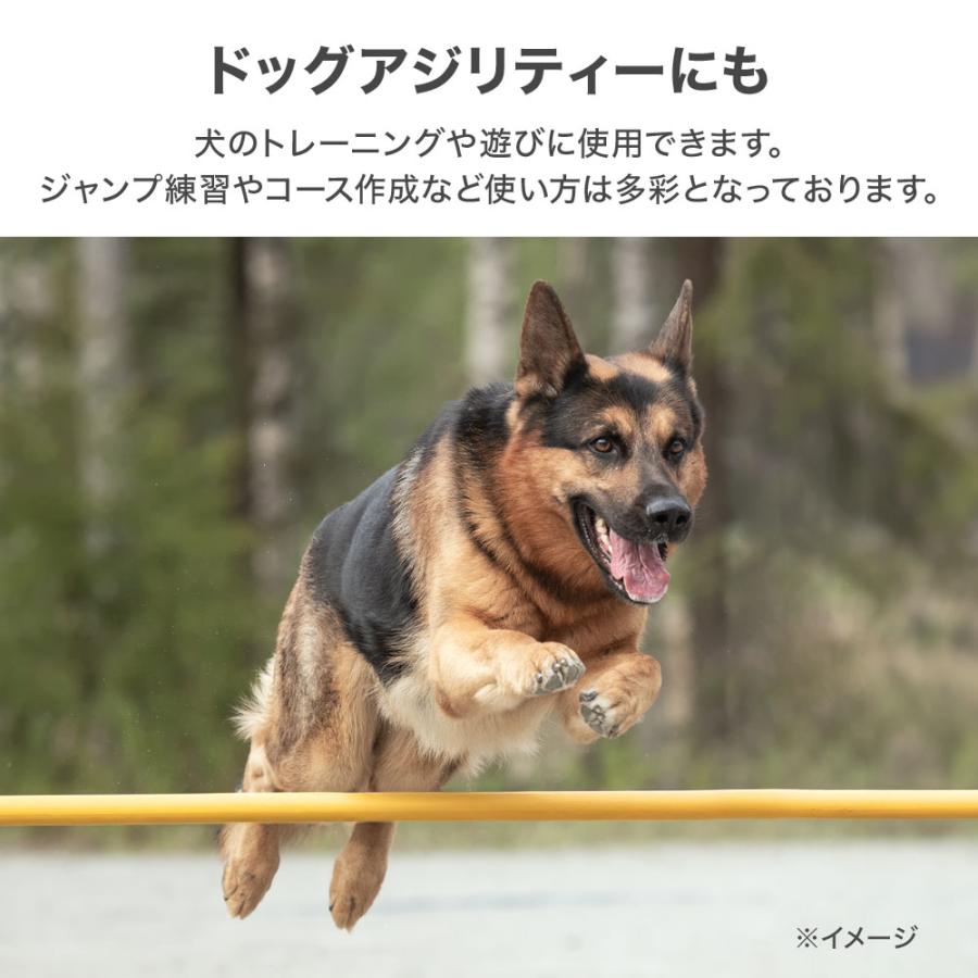 マーカーコーン サッカー コーン 2個 4個 6個 8個 10個 マーカー